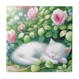 Azulejo De Cerâmica Caixa de Manutenção de Madeira Jewelry