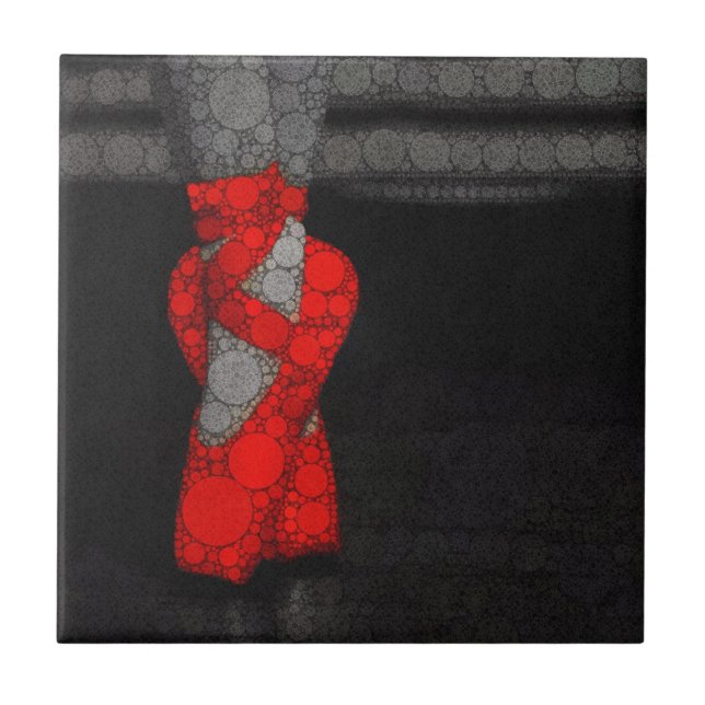 Azulejo De Cerâmica Calçados Ballerina Balé (Frente)