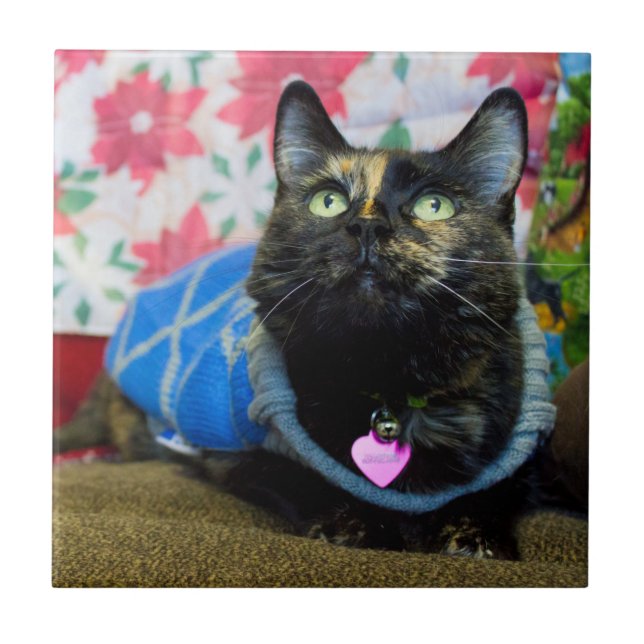 Azulejo De Cerâmica Calico II (Frente)