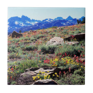 Azulejo De Cerâmica Califórnia, Montanhas Sierra Nevada 1