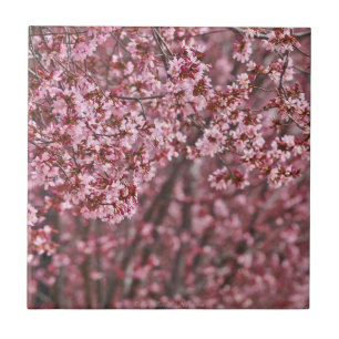 Azulejo De Cerâmica Camadas de Blossoms de Cerejeira Japonesa Rosa em