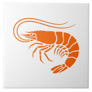 Azulejo De Cerâmica Camarão Laranja