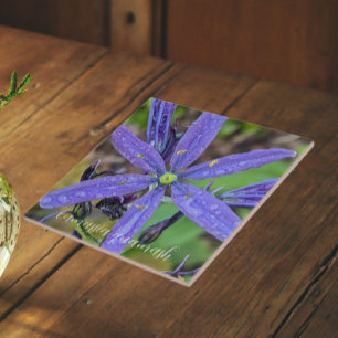 Azulejo De Cerâmica Camas Azul Comum Floral