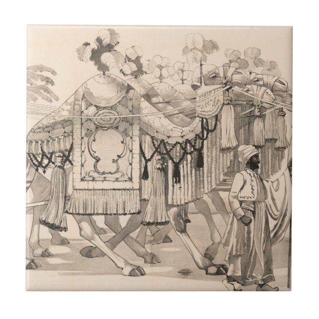 Azulejo De Cerâmica Camelos Que Andam Vestidos Em Costume (Frente)