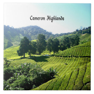 Azulejo De Cerâmica Cameron Highlands, Tea Plantation, Malásia