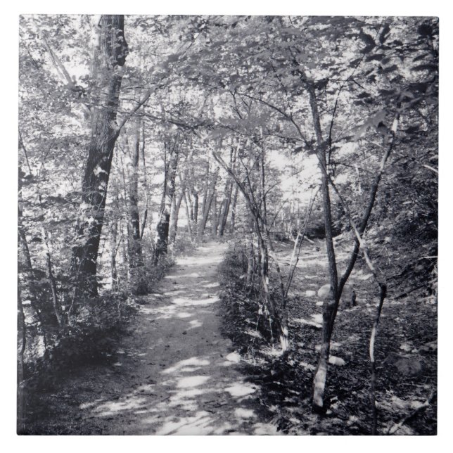 Azulejo De Cerâmica Caminho da Fé (Frente)