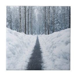 Azulejo De Cerâmica Caminho de Floresta de Inverno Nebuloso Paisagem d