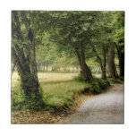 Azulejo De Cerâmica Caminho no País<br><div class="desc">Home Décor</div>