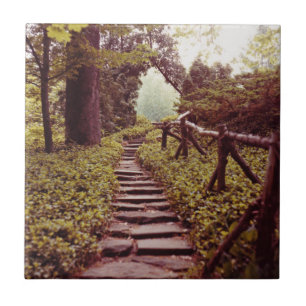 Azulejo De Cerâmica Caminho para a Luz
