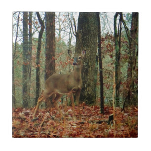 Azulejo De Cerâmica Camo, Camouflage Deer