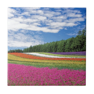 Azulejo De Cerâmica Campo de Flores