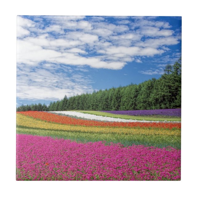 Azulejo De Cerâmica Campo de Flores (Frente)
