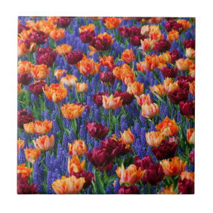 Azulejo De Cerâmica Campo de Flores Azuis, Laranja e Vermelhas