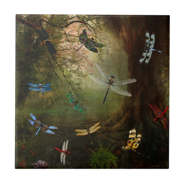 Azulejo De Cerâmica Campo de jogos da libélula (Frente)