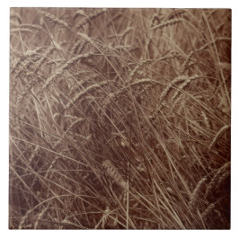 Azulejo De Cerâmica Campo de trigo (por Eugène Atget)
