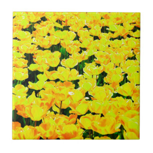 Azulejo De Cerâmica Campo Tulip - ouro amarelo