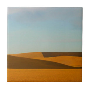 Azulejo De Cerâmica Campos de trigo dourados na região de Palouse