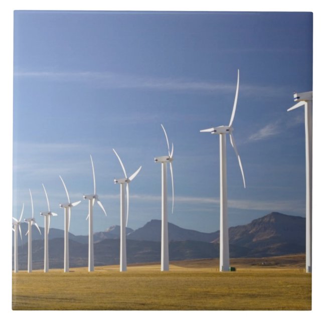 Azulejo De Cerâmica Canadá, Alberta, Crowsnest Pass Area: Cowley (Frente)