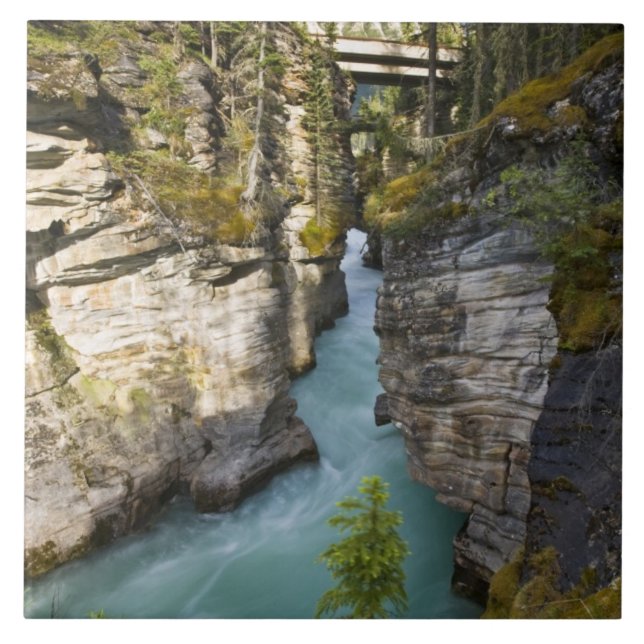 Azulejo De Cerâmica Canadá, Alberta, Jasper National Park, Athabasca 2 (Frente)