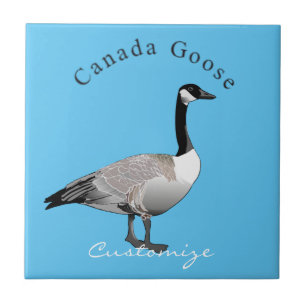Azulejo De Cerâmica Canadá Goose Gander Thunder_Cove