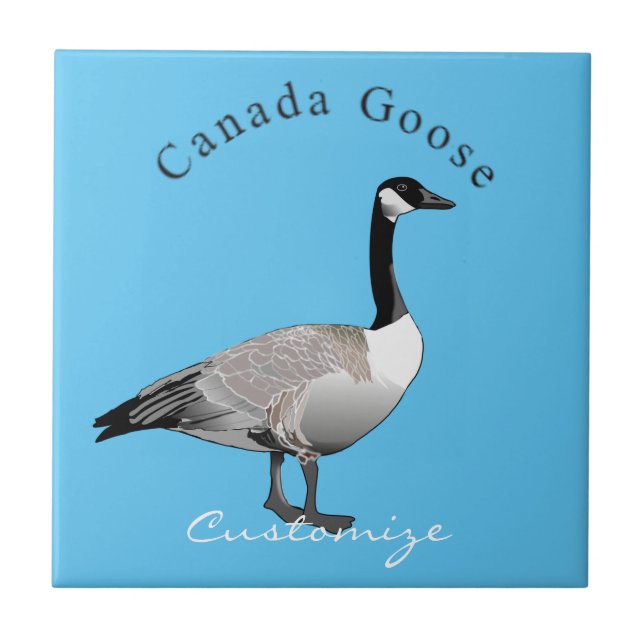 Azulejo De Cerâmica Canadá Goose Gander Thunder_Cove (Frente)