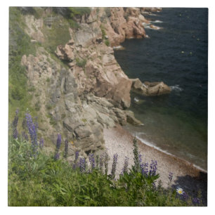 Azulejo De Cerâmica Canadá, Nova Escócia, Ilha do Cabo Breton, Cabot 3