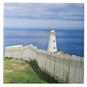 Azulejo De Cerâmica Canadá, Terra Nova, Cape Spear National 2