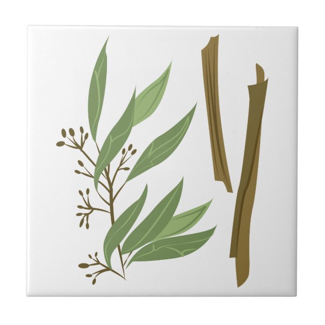 Azulejo De Cerâmica Canela (Frente)