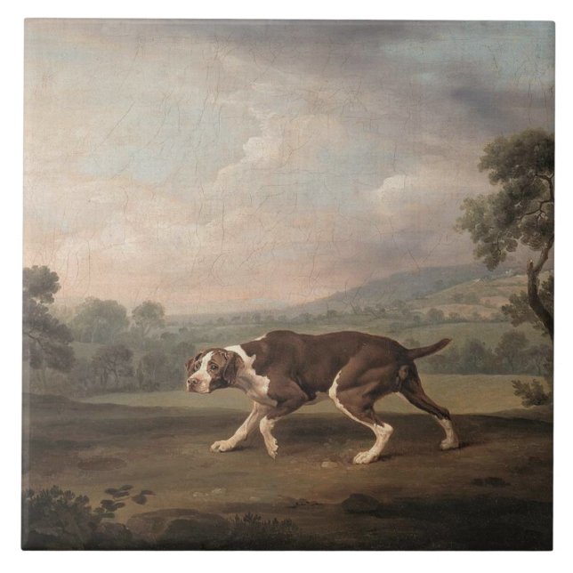 Azulejo De Cerâmica Canino Espanhol (por George Stubbs) (Frente)