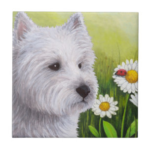 Azulejo De Cerâmica Cão 83 Westie