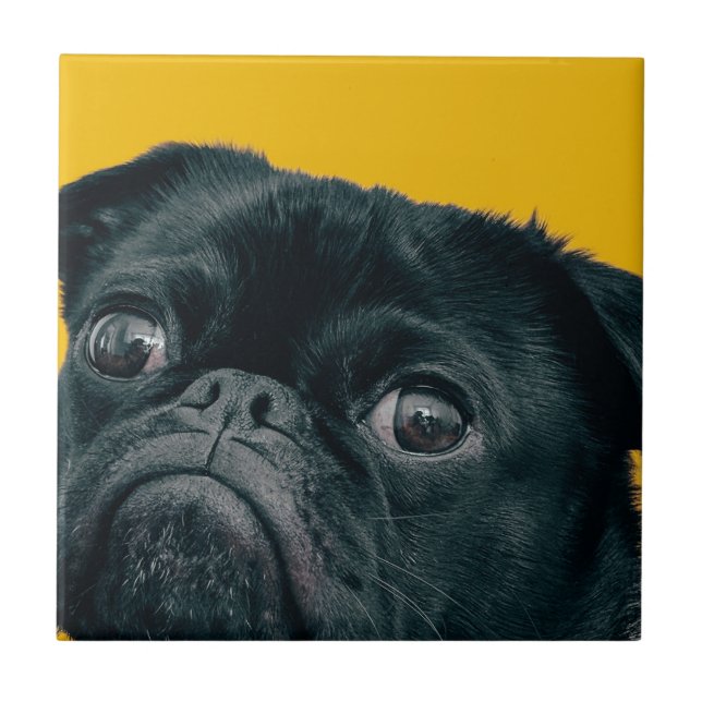 Azulejo De Cerâmica cão amarelo (Frente)