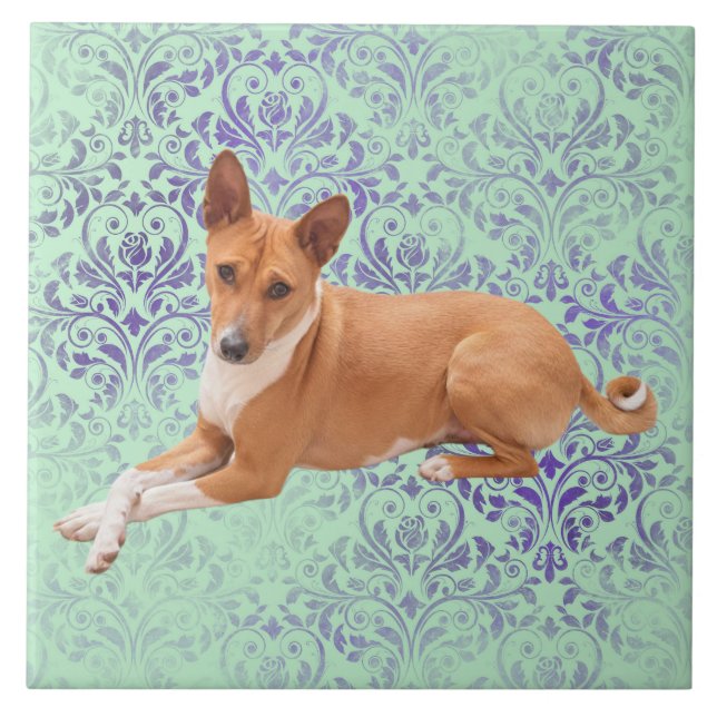 Azulejo De Cerâmica Cão Basenji  (Frente)