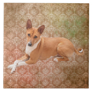 Azulejo De Cerâmica Cão Basenji