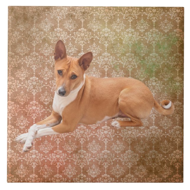 Azulejo De Cerâmica Cão Basenji  (Frente)