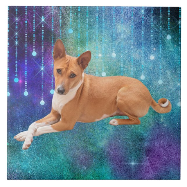 Azulejo De Cerâmica Cão Basenji  (Frente)
