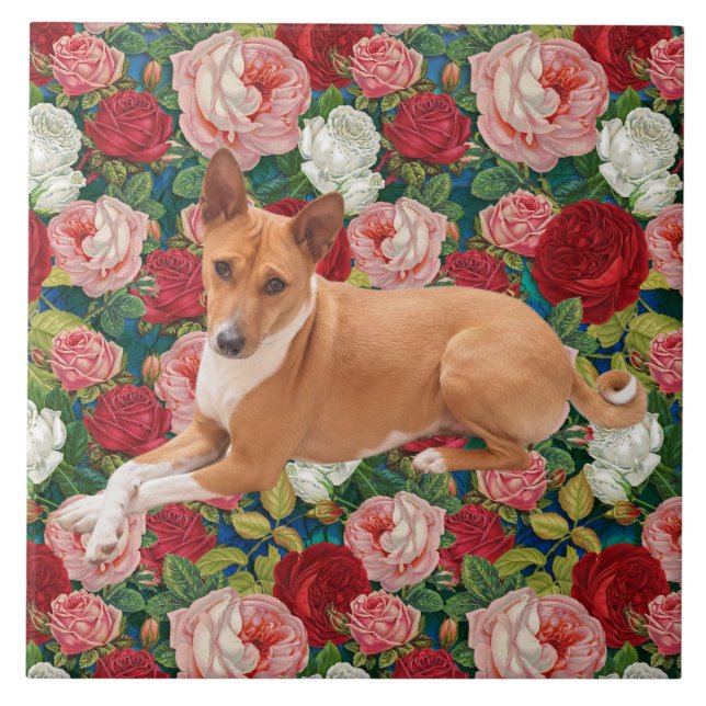 Azulejo De Cerâmica Cão Basenji  (Frente)