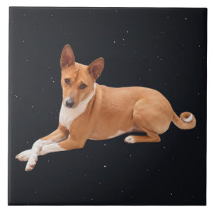 Azulejo De Cerâmica Cão Basenji