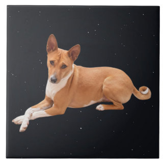 Azulejo De Cerâmica Cão Basenji