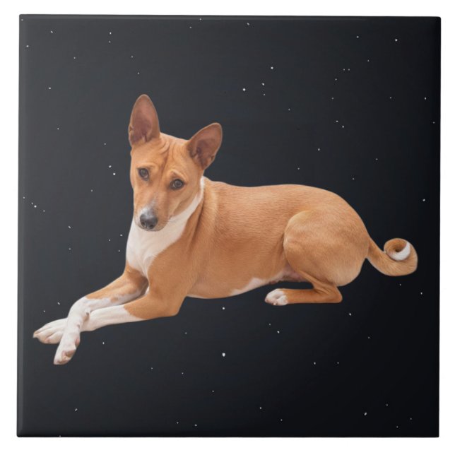 Azulejo De Cerâmica Cão Basenji  (Frente)