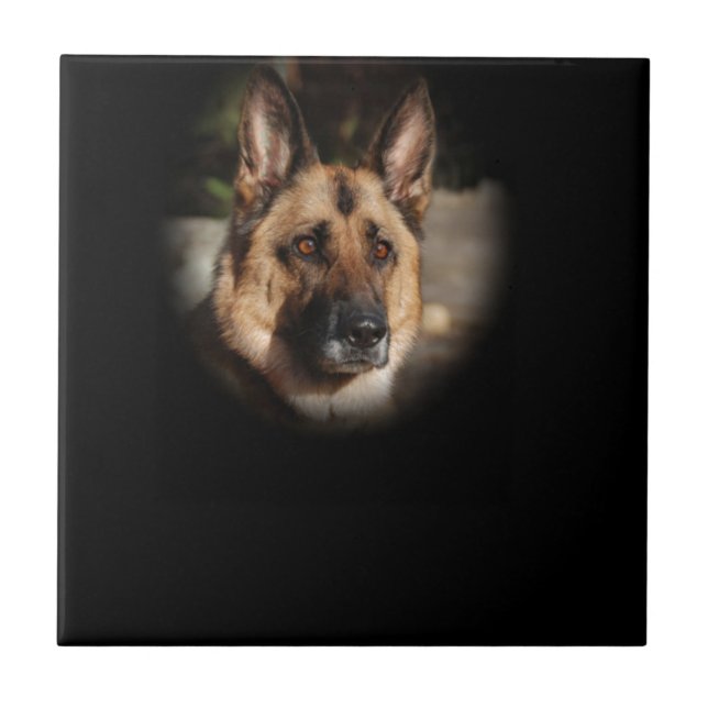 Azulejo De Cerâmica Cão de german shepherd (Frente)