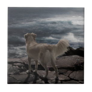 Azulejo De Cerâmica Cão de mar