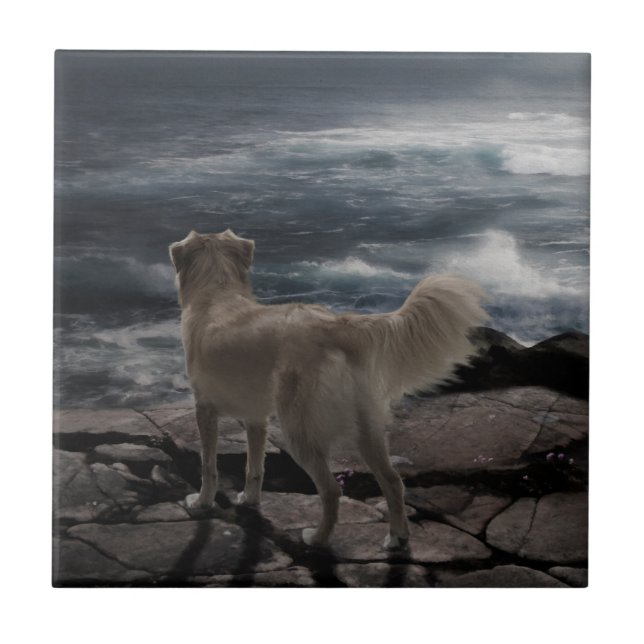 Azulejo De Cerâmica Cão de mar (Frente)