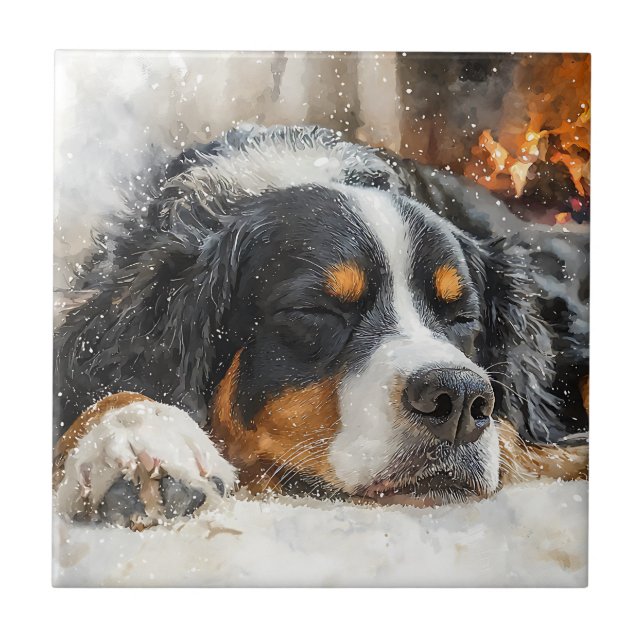 Azulejo De Cerâmica Cão de Montanha Bernês (Frente)
