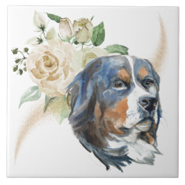 Azulejo De Cerâmica Cão-de-montanha Bernese, Buquê de Rosa Branco