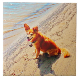 Azulejo De Cerâmica Cão de Pomchi!