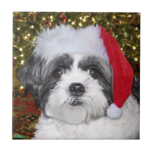 Azulejo De Cerâmica Cão de Shih Tzu do Natal