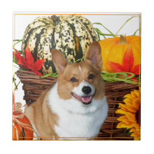 Azulejo De Cerâmica Cão do Corgi do Dia das Bruxas Galês