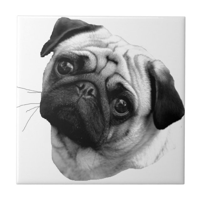 Azulejo De Cerâmica Cão do Pug (Frente)