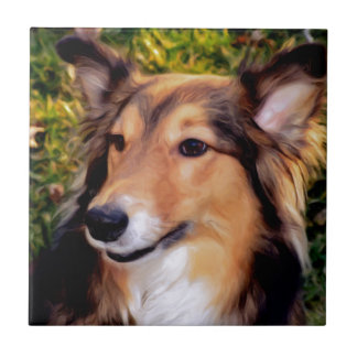 Azulejo De Cerâmica Cão do salvamento