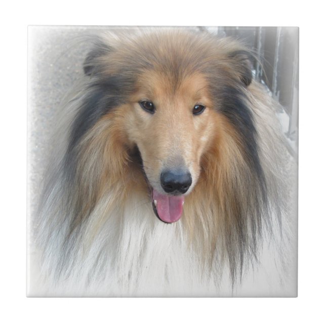 Azulejo De Cerâmica Cão doce (Frente)